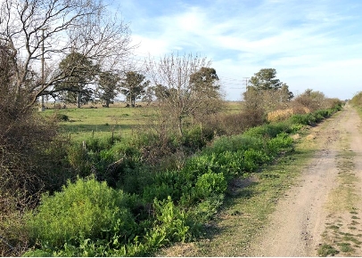 Sobre camino rural en Punta Lara entre Villa del Plata Norte y la Au. La Plata Bs. As.